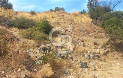 Seferihisar Eski Orhanlı Köyü Köyiçi İmarlı 451 m2 Satılık Fırsat Arsa