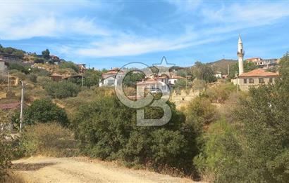 Seferihisar Eski Orhanlı Köyü Köyiçi İmarlı 451 m2 Satılık Fırsat Arsa