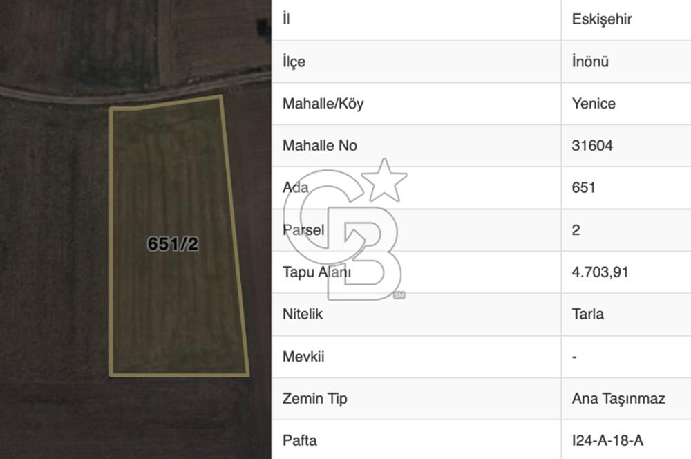 ESKİŞEHİR İNÖNÜ YENİCE MAHALLEDE SATILIK TARLA