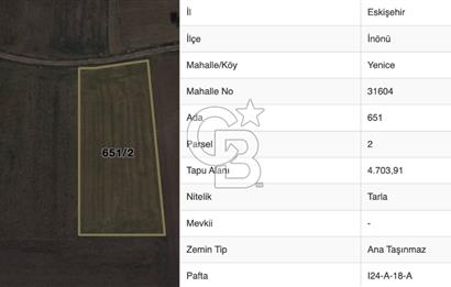 ESKİŞEHİR İNÖNÜ YENİCE MAHALLEDE SATILIK TARLA
