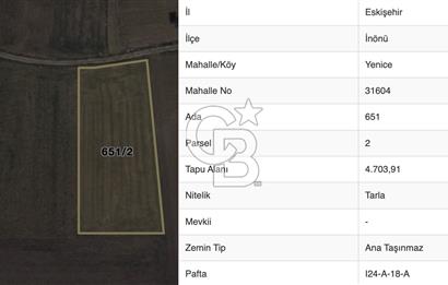 ESKİŞEHİR İNÖNÜ YENİCE MAHALLEDE SATILIK TARLA