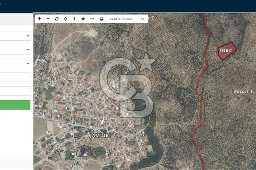 HAVRAN TEMAŞALIK KÖYÜNDE YATIRIMLIK ZEYTİNLİK