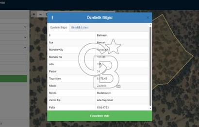 HAVRAN TEMAŞALIK KÖYÜNDE YATIRIMLIK ZEYTİNLİK