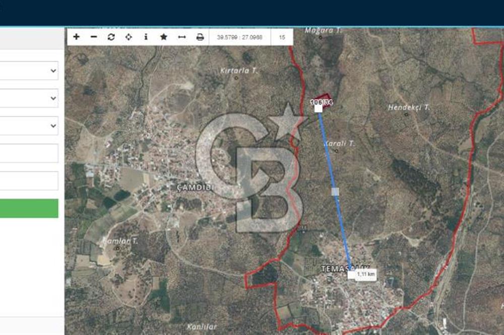 HAVRAN TEMAŞALIK KÖYÜNDE YATIRIMLIK ZEYTİNLİK