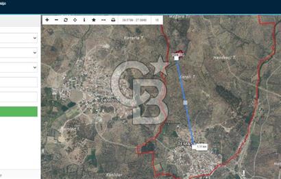 HAVRAN TEMAŞALIK KÖYÜNDE YATIRIMLIK ZEYTİNLİK