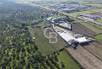 Ticari Depolama Alanı İçin Satılık Arsa - 1 - 318685