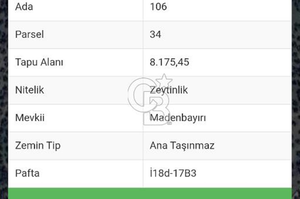 HAVRAN TEMAŞALIK KÖYÜNDE YATIRIMLIK ZEYTİNLİK