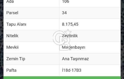 HAVRAN TEMAŞALIK KÖYÜNDE YATIRIMLIK ZEYTİNLİK