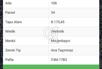HAVRAN TEMAŞALIK KÖYÜNDE YATIRIMLIK ZEYTİNLİK - 1 - 318687