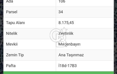 HAVRAN TEMAŞALIK KÖYÜNDE YATIRIMLIK ZEYTİNLİK