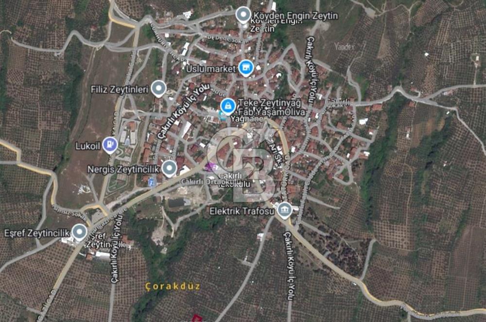 BURSA ORHANGAZİ ÇAKIRLI 786 M2 SATILIK ZEYTİNLİK!.