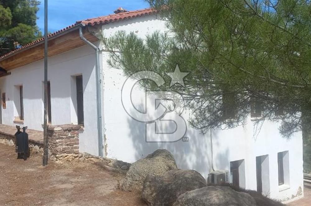 Seferihisar Eski Orhanlı Köyü Köyiçi İmarlı 451 m2 Satılık Fırsat Arsa