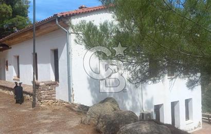 Seferihisar Eski Orhanlı Köyü Köyiçi İmarlı 451 m2 Satılık Fırsat Arsa