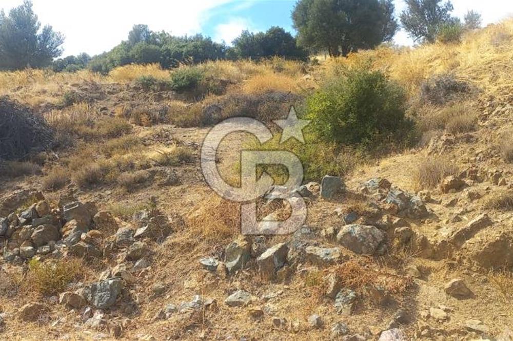 Seferihisar Eski Orhanlı Köyü Köyiçi İmarlı 451 m2 Satılık Fırsat Arsa