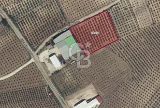 OSMANİYE KADİRLİ'DE 6.683 M2 ARSA - 2 - 318727