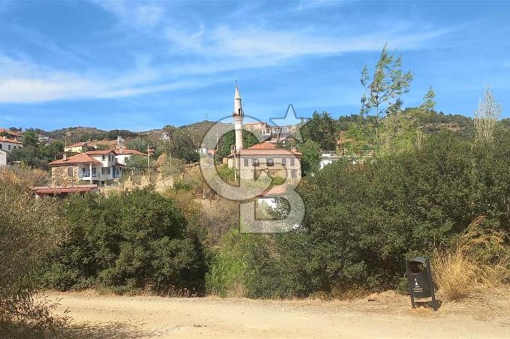 Seferihisar Eski Orhanlı Köyü Köyiçi İmarlı 451 m2 Satılık Fırsat Arsa