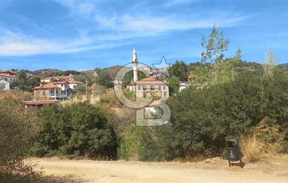 Seferihisar Eski Orhanlı Köyü Köyiçi İmarlı 451 m2 Satılık Fırsat Arsa