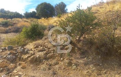 Seferihisar Eski Orhanlı Köyü Köyiçi İmarlı 451 m2 Satılık Fırsat Arsa