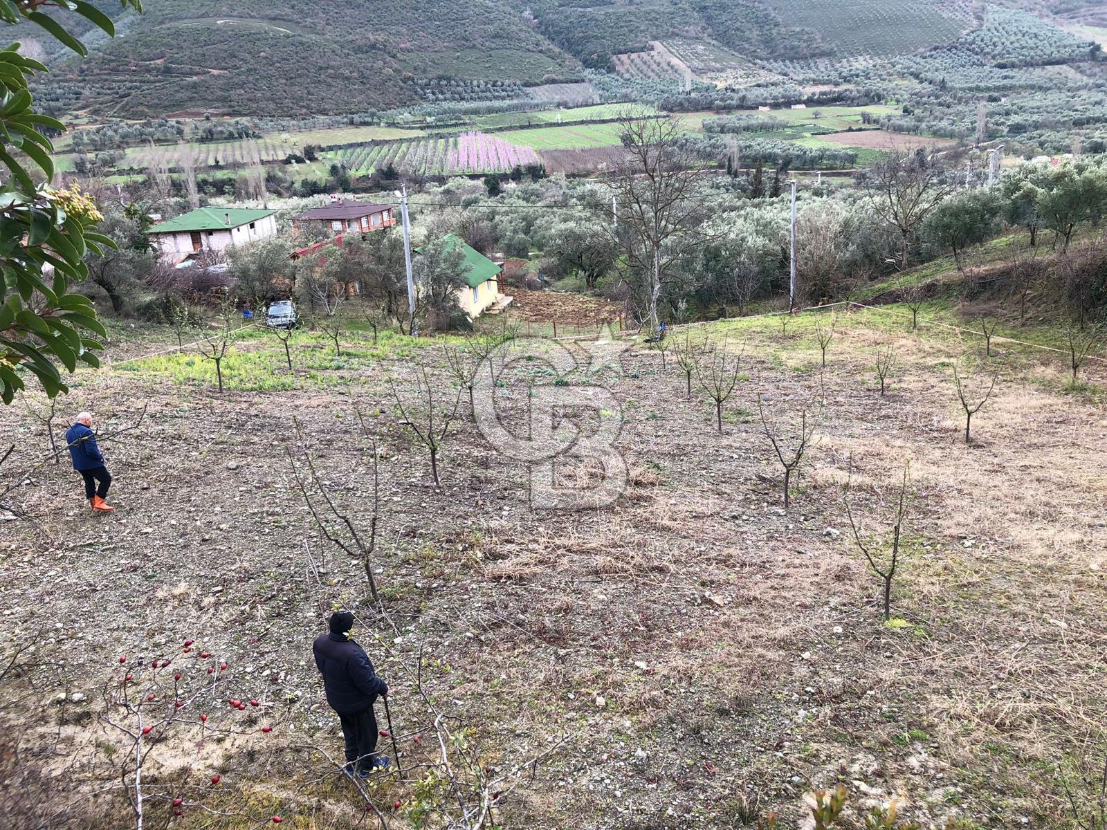 İznik Köyiçi İmarlı 1.462 m2 Yatırım İçin Fırsat Satılık Arsa