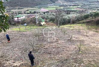 İznik Köyiçi İmarlı 1.462 m2 Yatırım İçin Fırsat Satılık Arsa - 1 - 318756