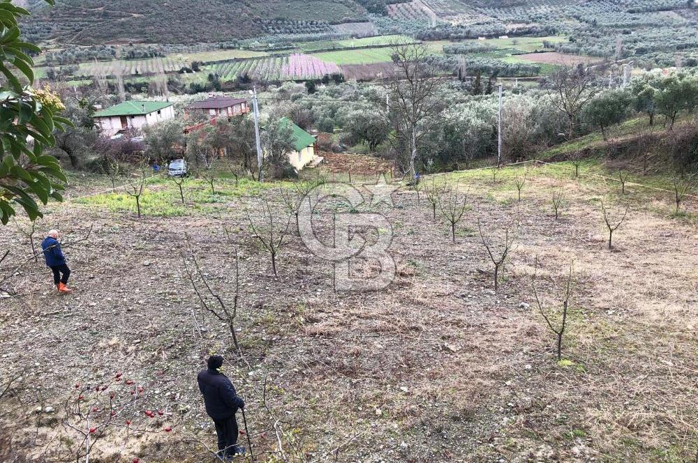 İznik Köyiçi İmarlı 1.462 m2 Yatırım İçin Fırsat Satılık Arsa