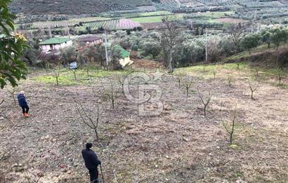 İznik Köyiçi İmarlı 1.462 m2 Yatırım İçin Fırsat Satılık Arsa