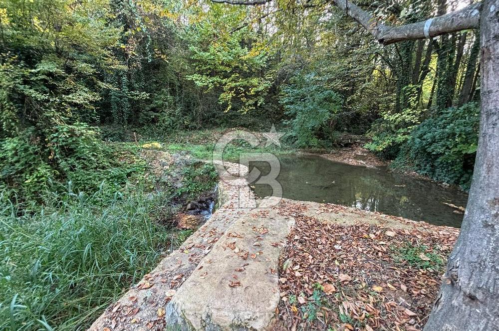 Direkt Orman Girişli, Isıtmalı Havuzlu Eşyalı Huzurlun Diğer Adı