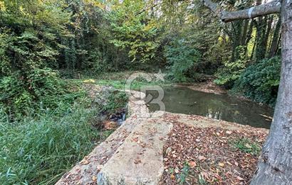 Direkt Orman Girişli, Isıtmalı Havuzlu Eşyalı Huzurlun Diğer Adı