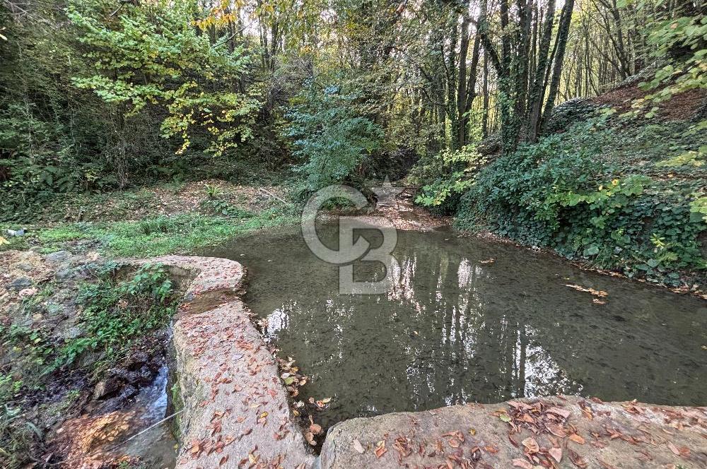 Direkt Orman Girişli, Isıtmalı Havuzlu Eşyalı Huzurlun Diğer Adı