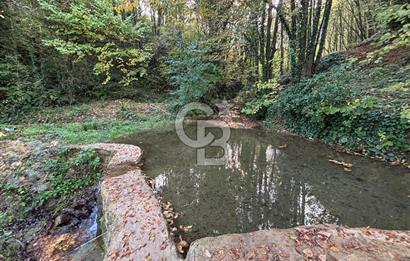 Direkt Orman Girişli, Isıtmalı Havuzlu Eşyalı Huzurlun Diğer Adı