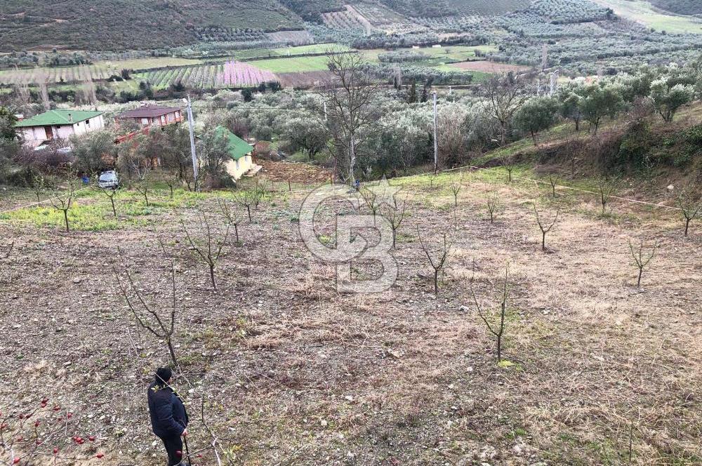 İznik Köyiçi İmarlı 1.462 m2 Yatırım İçin Fırsat Satılık Arsa