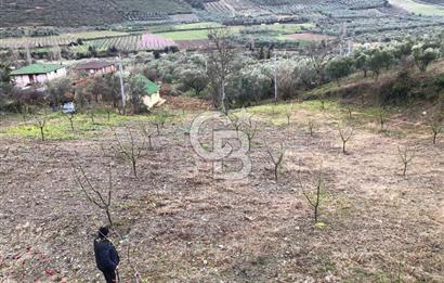 İznik Köyiçi İmarlı 1.462 m2 Yatırım İçin Fırsat Satılık Arsa