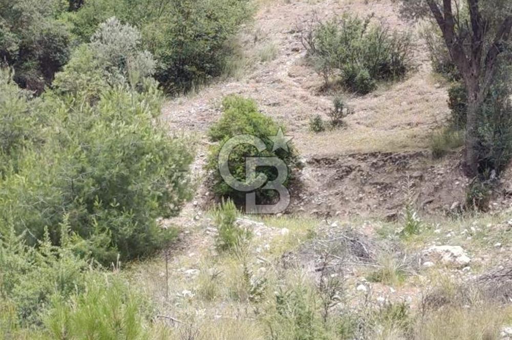 CB GİZ'DEN KAŞ KEMER'DE SATILIK TARLA