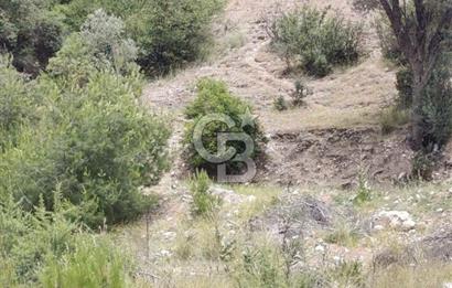 CB GİZ'DEN KAŞ KEMER'DE SATILIK TARLA