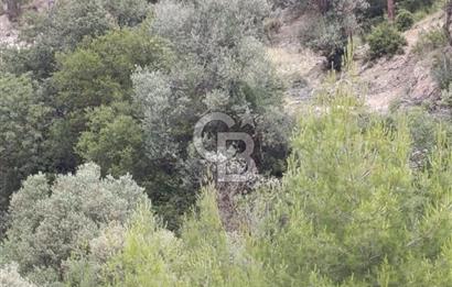 CB GİZ'DEN KAŞ KEMER'DE SATILIK TARLA