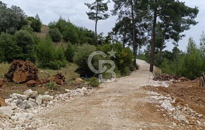 CB GİZ'DEN KAŞ KEMER'DE SATILIK TARLA