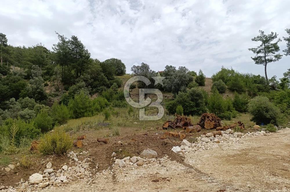 CB GİZ'DEN KAŞ KEMER'DE SATILIK TARLA