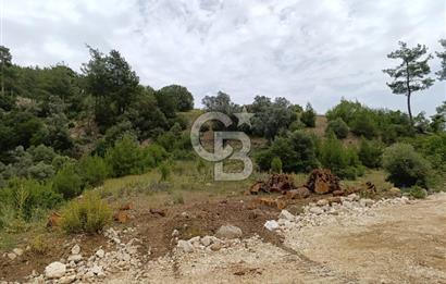 CB GİZ'DEN KAŞ KEMER'DE SATILIK TARLA