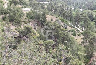 CB GİZ'DEN KAŞ KEMER'DE SATILIK TARLA - 1 - 318762