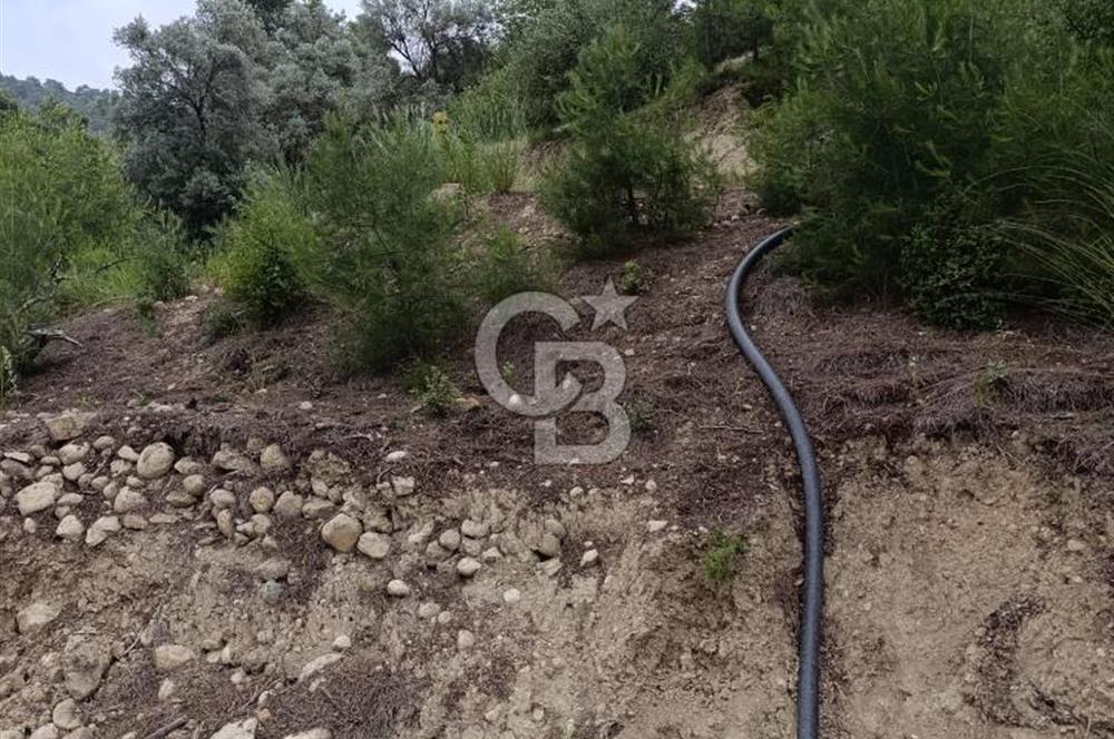 CB GİZ'DEN KAŞ KEMER'DE SATILIK TARLA