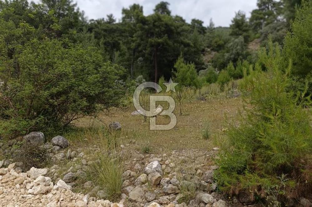 CB GİZ'DEN KAŞ KEMER'DE SATILIK TARLA