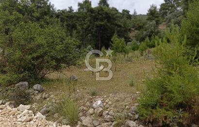 CB GİZ'DEN KAŞ KEMER'DE SATILIK TARLA