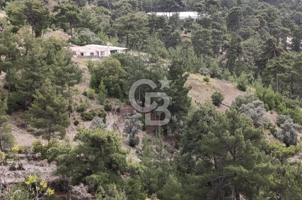 CB GİZ'DEN KAŞ KEMER'DE SATILIK TARLA