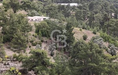 CB GİZ'DEN KAŞ KEMER'DE SATILIK TARLA