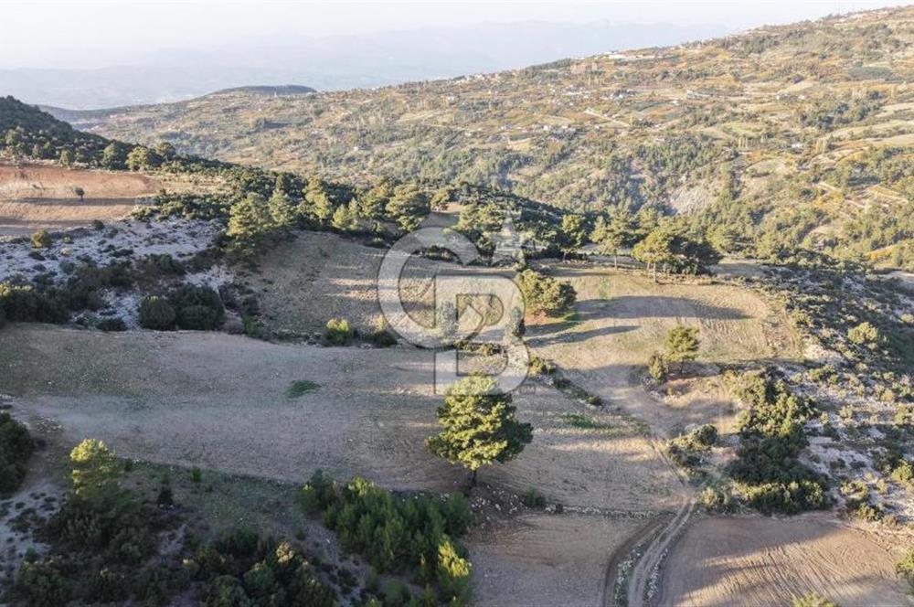 CB GİZ'DEN SEYDİKEMER ARSAKÖY'DE SATILIK PARSELLER