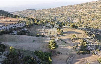 CB GİZ'DEN SEYDİKEMER ARSAKÖY'DE SATILIK PARSELLER