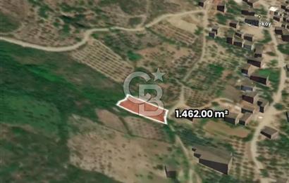 İznik Köyiçi İmarlı 1.462 m2 Yatırım İçin Fırsat Satılık Arsa