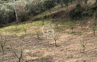 İznik Köyiçi İmarlı 1.462 m2 Yatırım İçin Fırsat Satılık Arsa