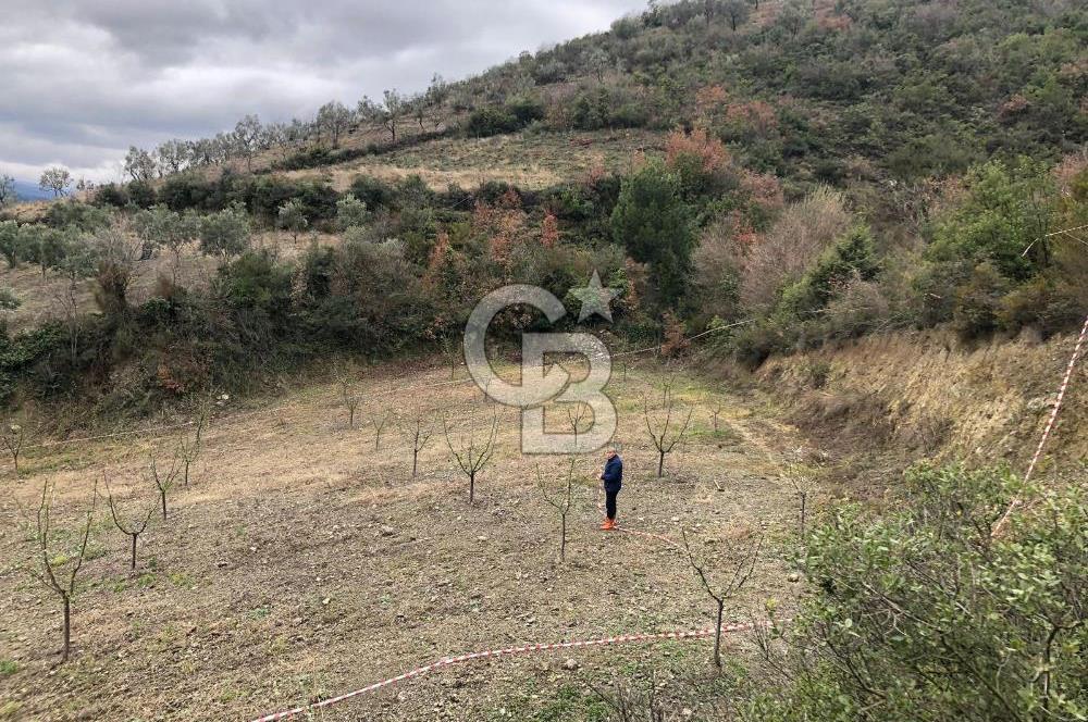 İznik Köyiçi İmarlı 1.462 m2 Yatırım İçin Fırsat Satılık Arsa