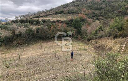 İznik Köyiçi İmarlı 1.462 m2 Yatırım İçin Fırsat Satılık Arsa